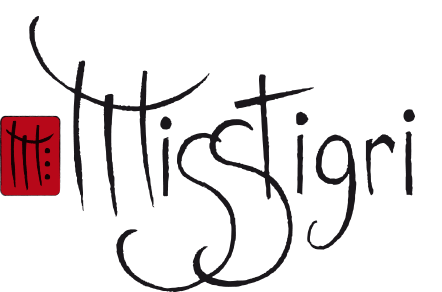 logo Misstigri
